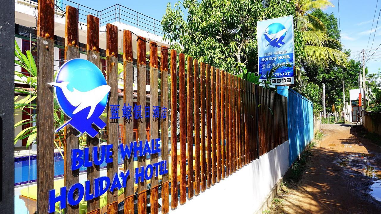 מיריסה Blue Whale Holiday Hotel מראה חיצוני תמונה