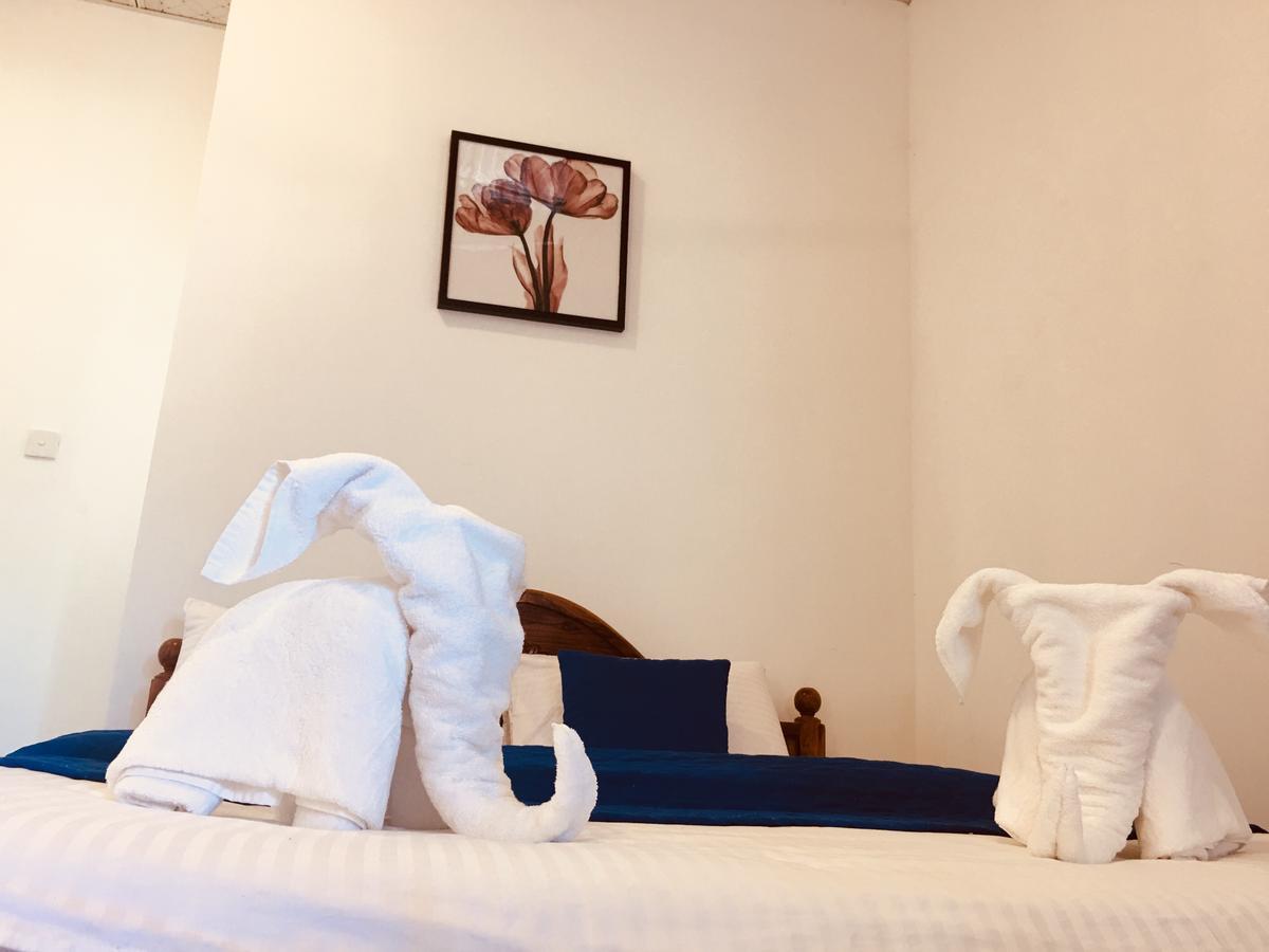 מיריסה Blue Whale Holiday Hotel מראה חיצוני תמונה