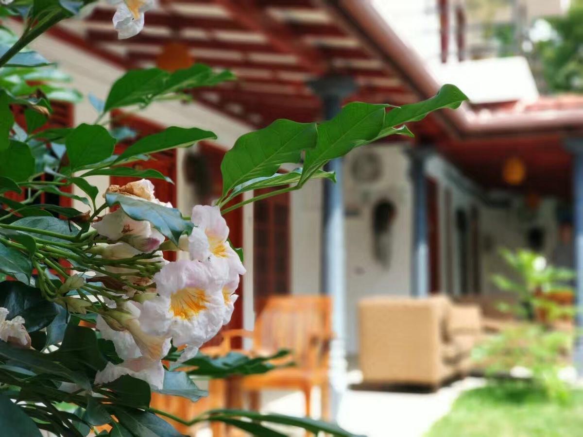 מיריסה Blue Whale Holiday Hotel מראה חיצוני תמונה